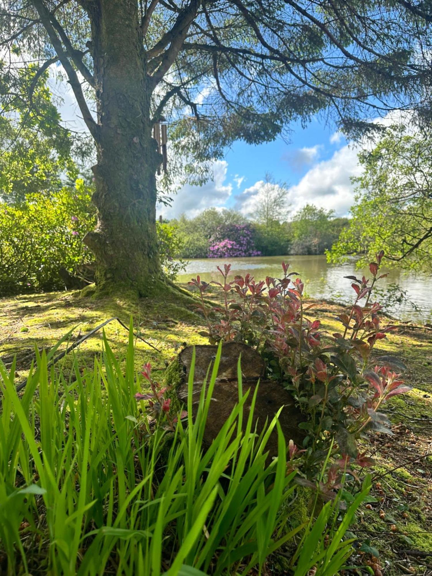 Lakeside Glamping Firecrest St Columb Major Exterior photo
